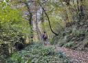 Hiker walking along a leaf-covered path between trees