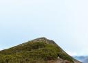 Top of a mountain with mountain vegetation