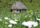 Traditional thatched roof teepee surrounded by fields and flowers.