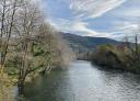 Wide, fast-flowing river surrounded by greenery on a sunny day