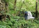 Hiker observing a waterfall in the middle of green nature