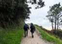 Hikers walk along a wooded dirt path by the sea.
