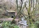 Old mill by a stream surrounded by dense vegetation and trees