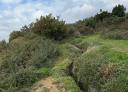Detail of vegetation-covered outer trenches with shrubs and corrugated earth.