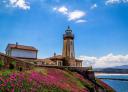 Phare sur une falaise pleine de fleurs rose fuchsia sous le ciel bleu