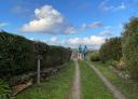Deux randonneurs marchent sur un sentier entouré de buissons avec une vue sur un ciel bleu avec des nuages.