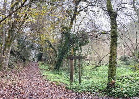 Chemin de la rivière Ñora