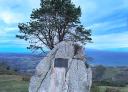 Monumento de piedra junto a un árbol en la cima de una colina