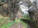 Grupo de senderistas caminando por un sendero forestal junto a un arroyo