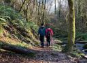 Pareja de senderistas caminando por un sendero boscoso junto a un río