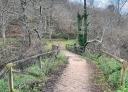 Rustic wooden bridge across a small stream, Viacaba