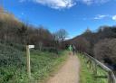 Hikers walking along a wooded trail along the Viacaba Creek