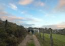 Group of hikers walking along a wide path in the middle of nature.
