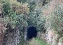 Dark entrance to an old tunnel surrounded by vegetation