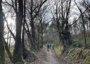 Group of hikers walking along a wooded path in the forest.