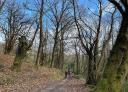 A couple of hikers enjoying a quiet walk in the forest.