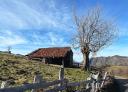 Chalet en pierre entouré d'une clôture de saules et à côté d'un arbre sans feuilles sous un ciel bleu.