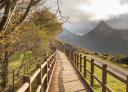 Passerelle en bois entre des arbres avec des montagnes nuageuses en arrière-plan dans un paysage à couper le souffle.