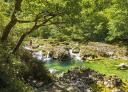 Cascadas de agua y pozas naturales, rodeadas de exuberante vegetación verde