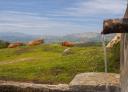 Fountain spout in foreground with cows grazing in background