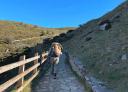 Hiker on a cobbled path with wooden fence