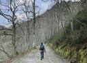 Hiker walking along a stony path on a wooded trail