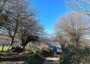 Couple of hikers walking through trees in winter under blue skies.