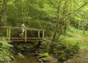 A hiker crosses a wooden bridge over a stream surrounded by vegetation.