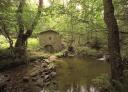 Old stone mill by the river