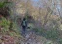 Hiker ascending a section covered with dry leaves in the forest.