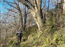 A hiker on a wooded and leafy trail