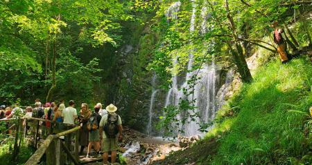 Image Activities and plans for this summer in Asturias