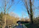 Family walking along a wooded pathway enclosed by wooden fences on a sunny day.
