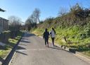 Couple of hikers walking along a tarmac path with vegetation on both sides.