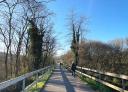 Hikers cross a wooden fence bridge surrounded by trees.