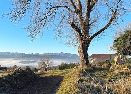 Route of the Lancers