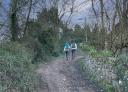 Two people walk along a tree-lined path next to an old stone wall.
