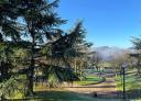 Frost-covered park with pine trees, benches and blue sky.