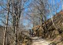 Grupo de personas camina por un sendero arbolado en un bosque con paisaje invernal