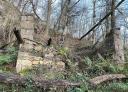 Stone ruins of an old building surrounded by greenery