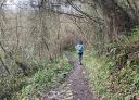 A hiker walks along a narrow dirt path surrounded by vegetation.