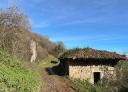 Dirt road leading to an old stone building surrounded by vegetation.