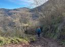 A hiker descends a narrow path surrounded by winter vegetation.