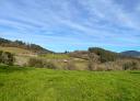 Wide green fields under a blue sky with scattered clouds