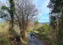 Wooded path with walking couple