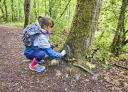 Niña explorando en un sendero arbolado, cerca de un árbol