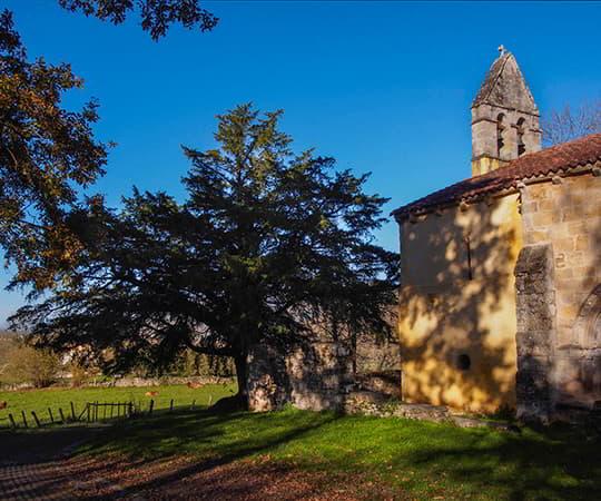 Exterior de la Iglesia de Santa Eulalia de Abamia