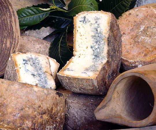 Bodegón de queso Gamonéu del Puerto.
