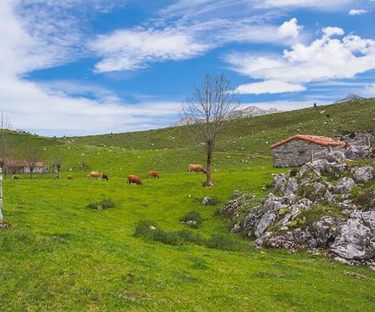 Vista de la Majada de Belbín.