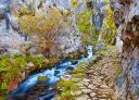 Sendero de piedra entre rocas y junto a un río de montaña en Asturias